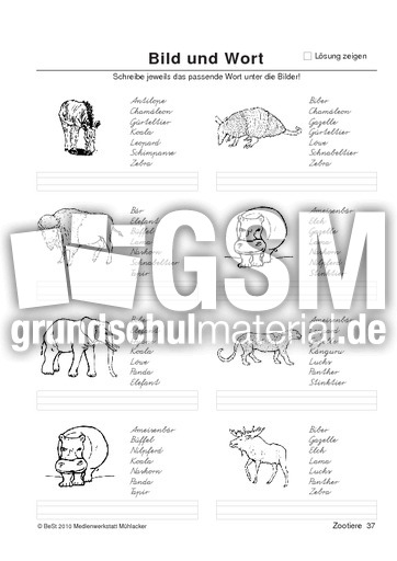 BuW Zootiere37.pdf
